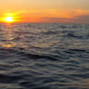 Meet your Posher, Alfred